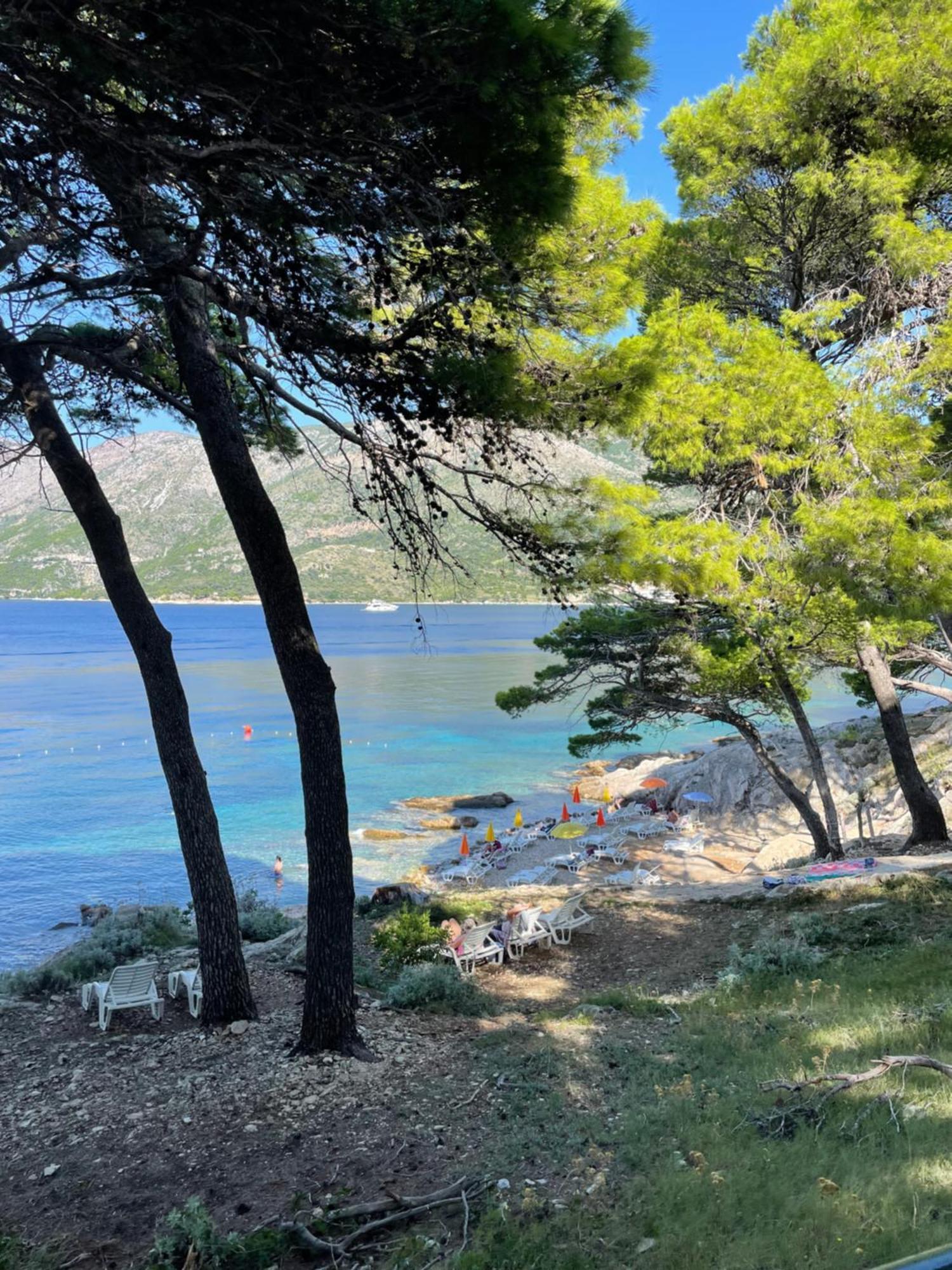 Family Ambient Apartment Cavtat Zewnętrze zdjęcie